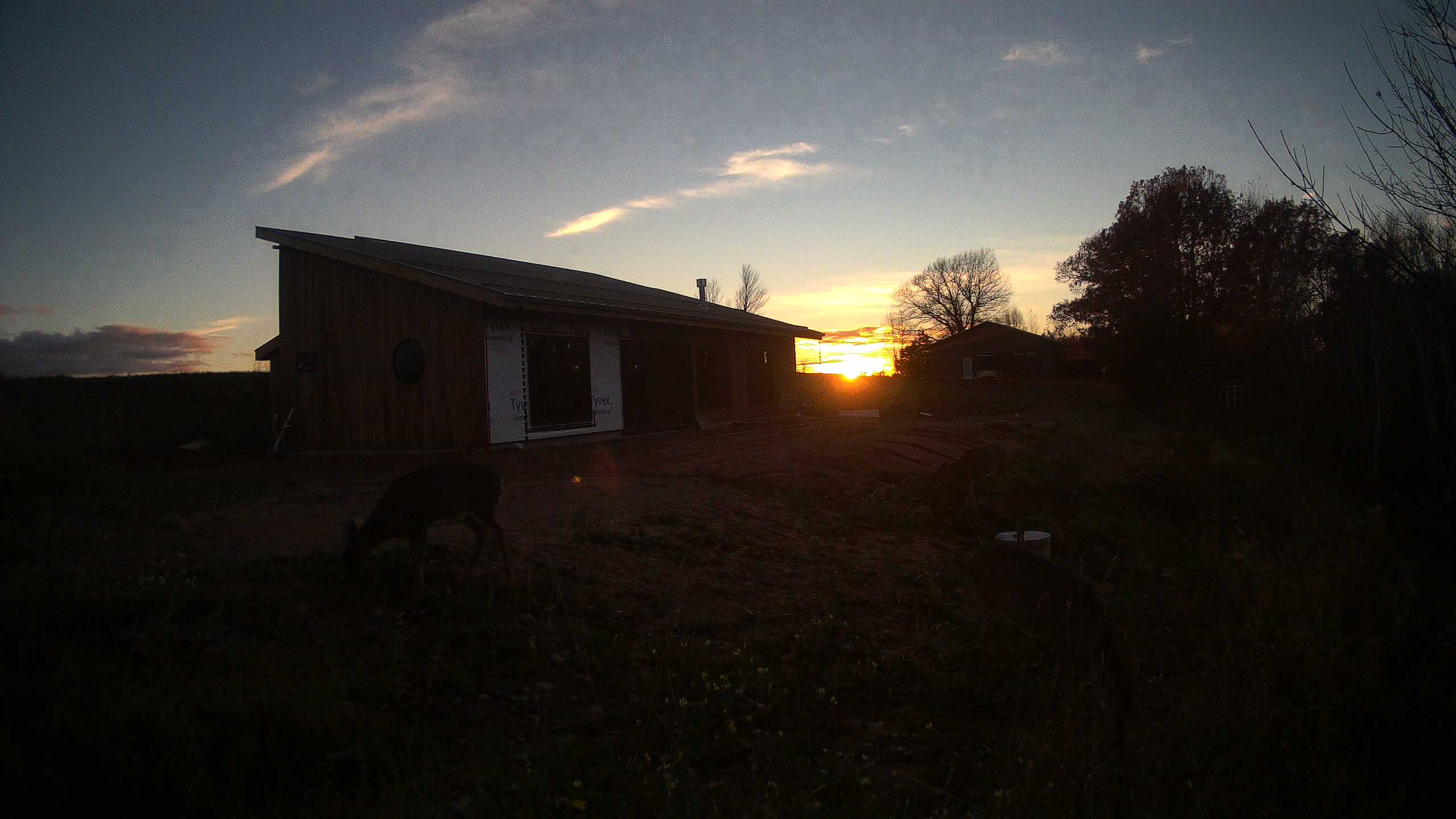 A photo from the field camera