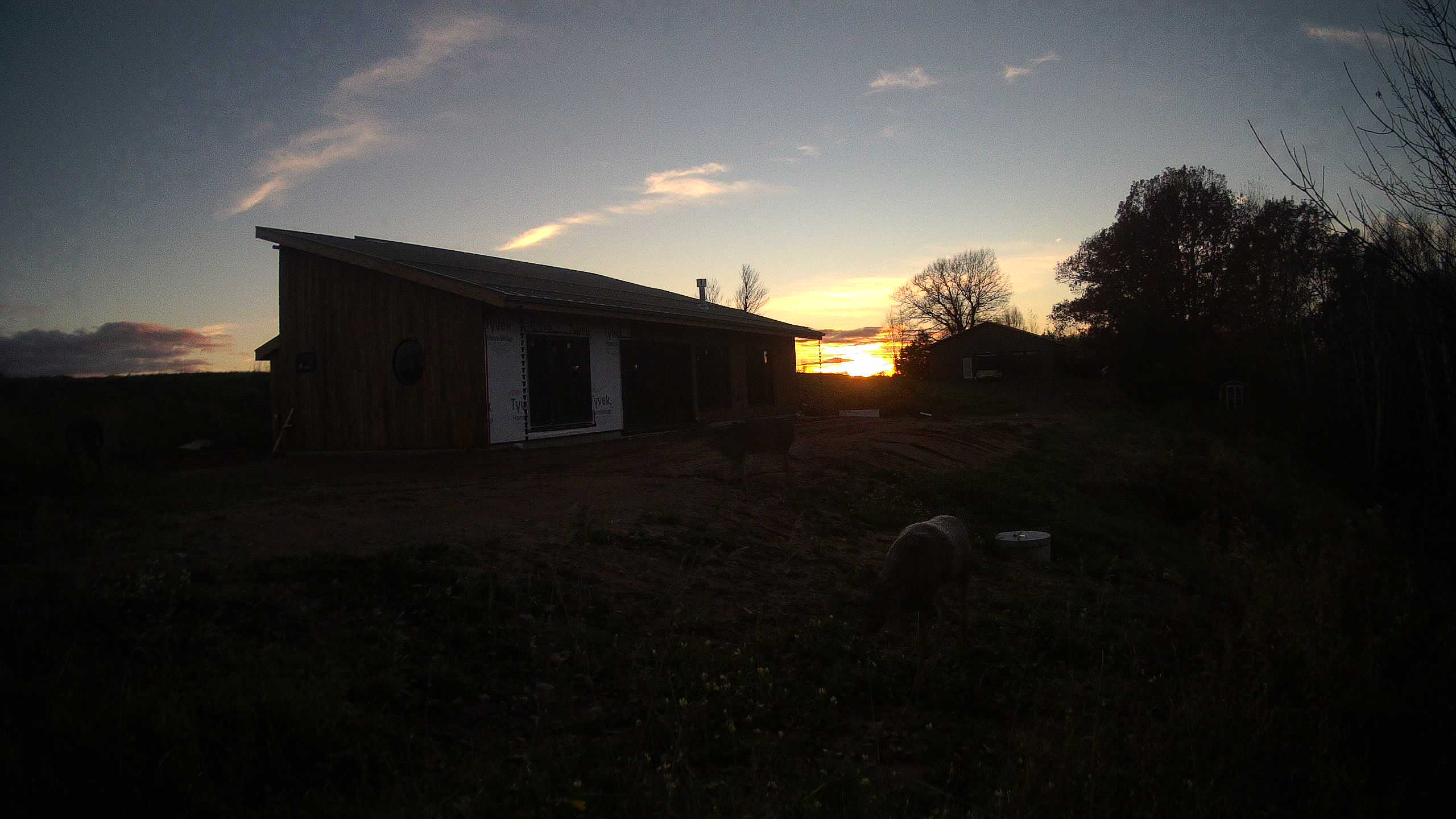 A photo from the field camera