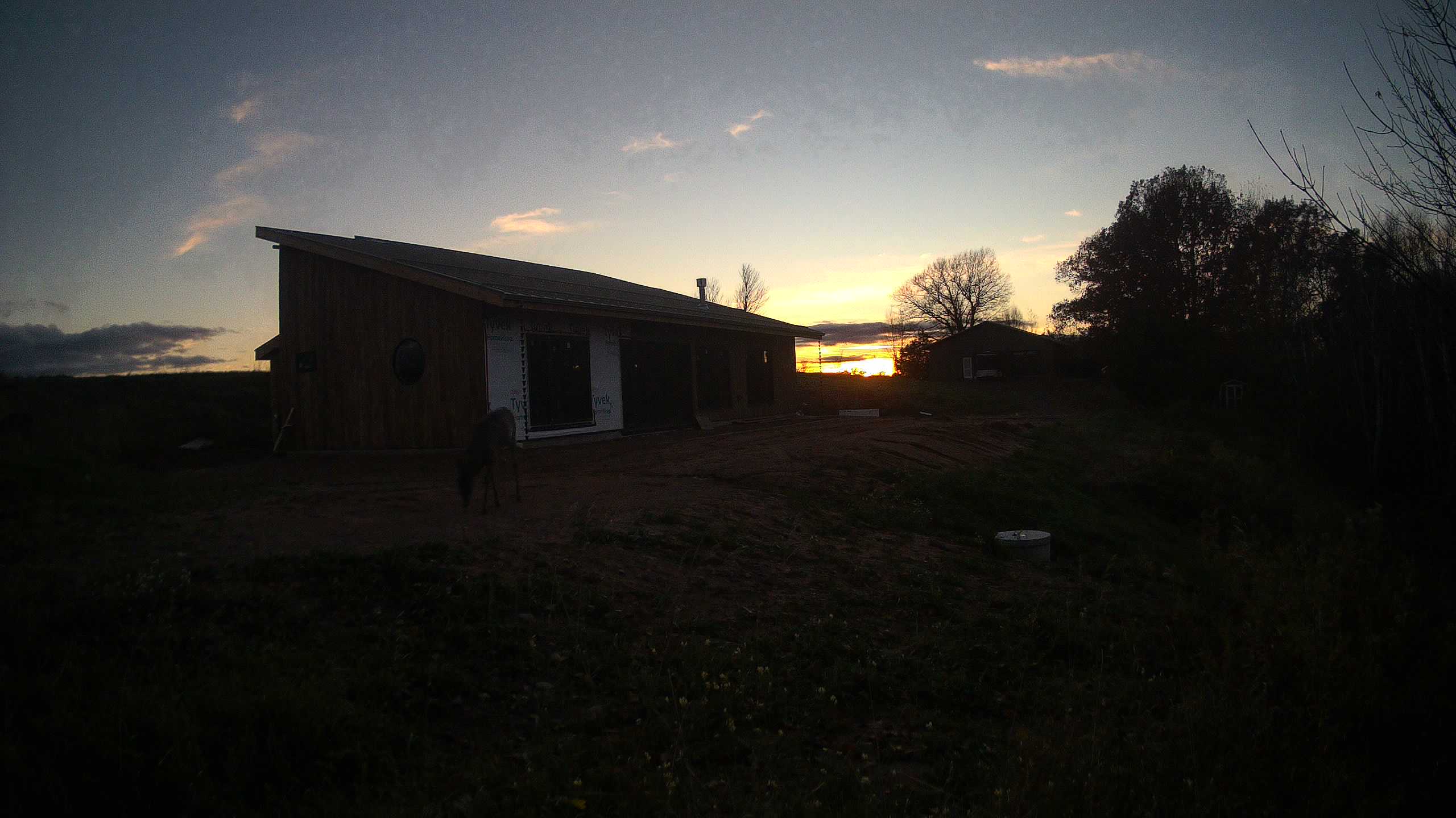 A photo from the field camera