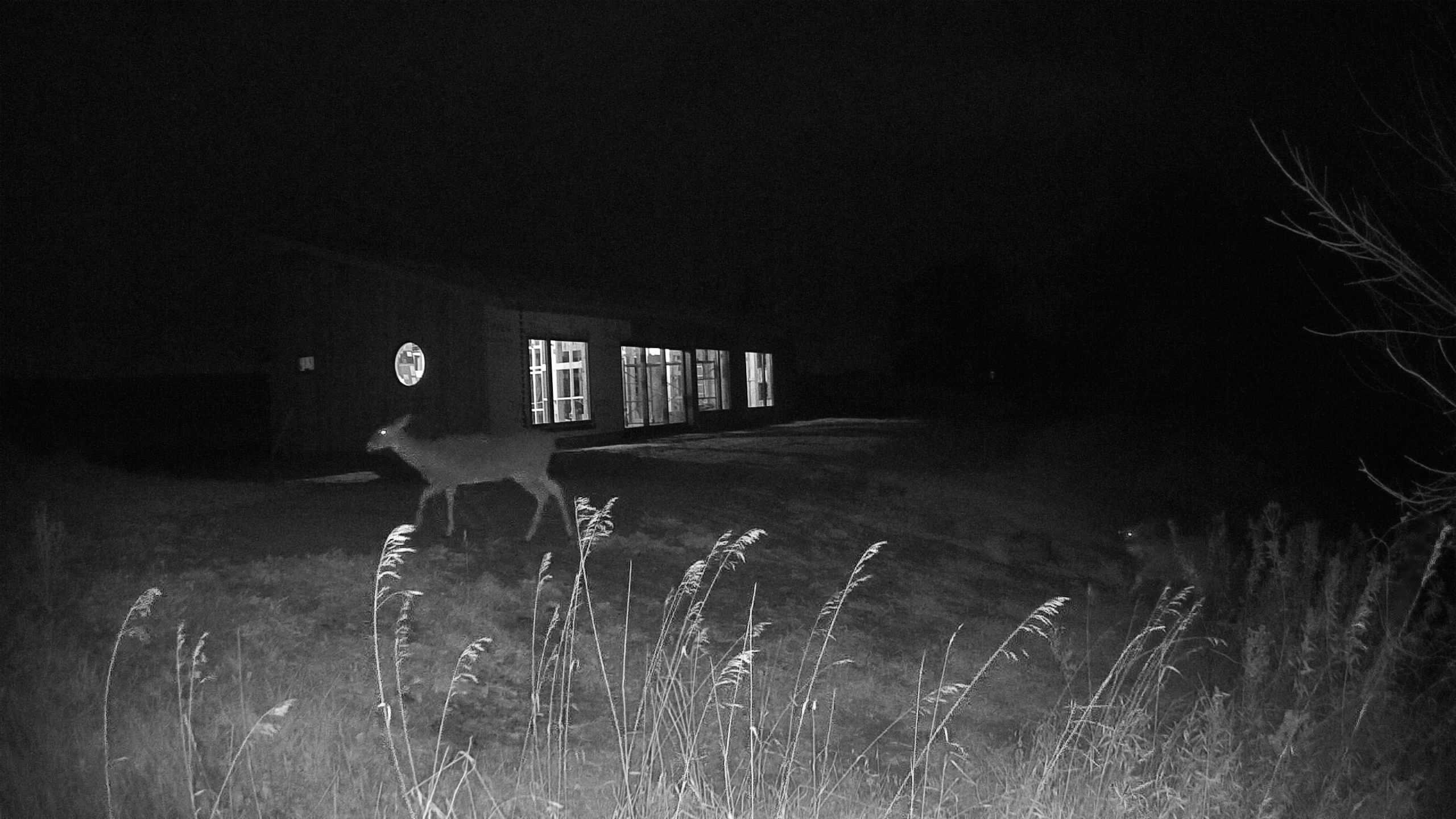 The field cam, Nov 2, 2025 at 3:50pm