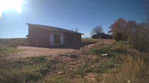 A newer photo from the camera