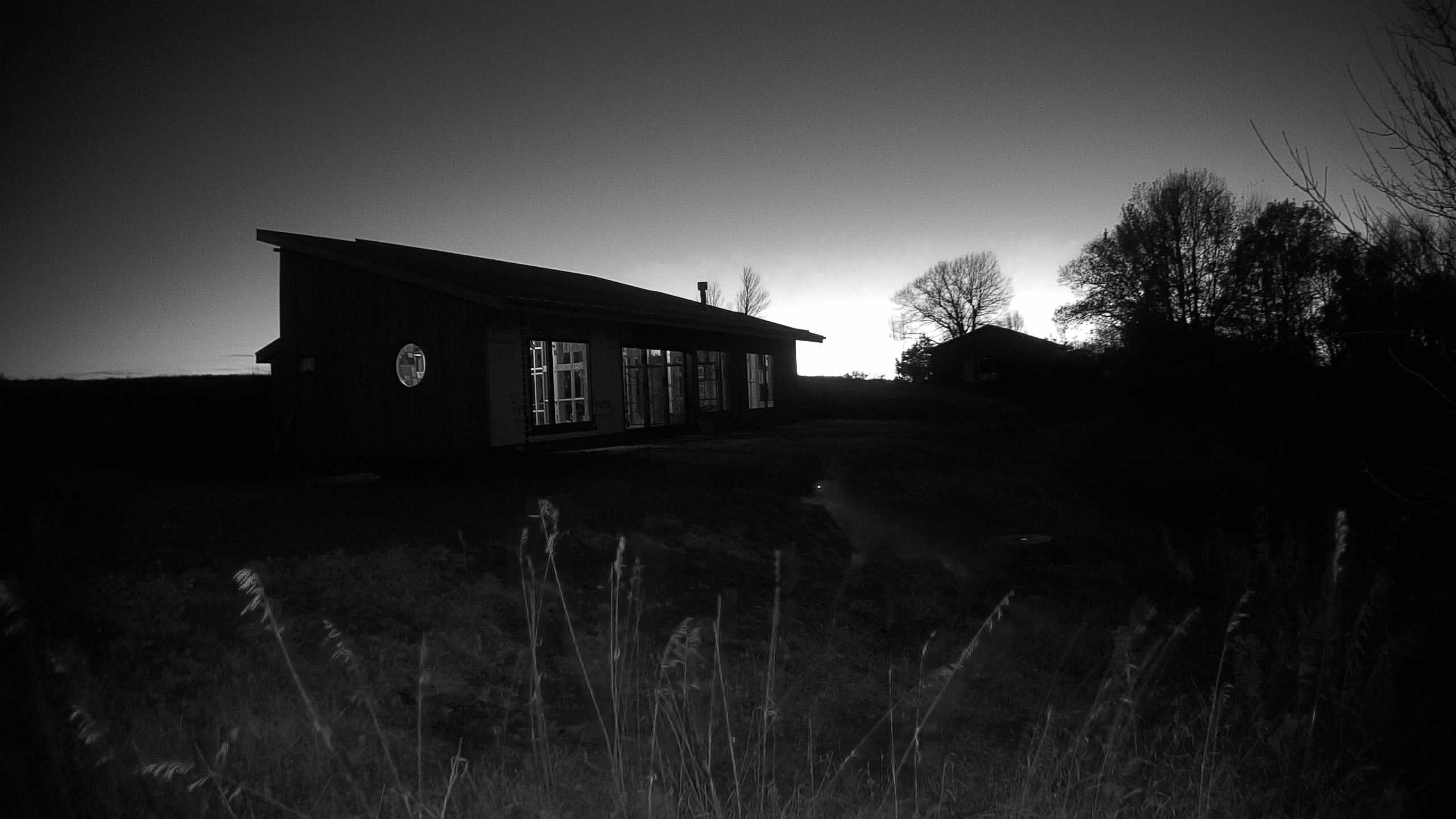 A photo from the field camera