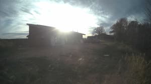 A newer photo from the camera