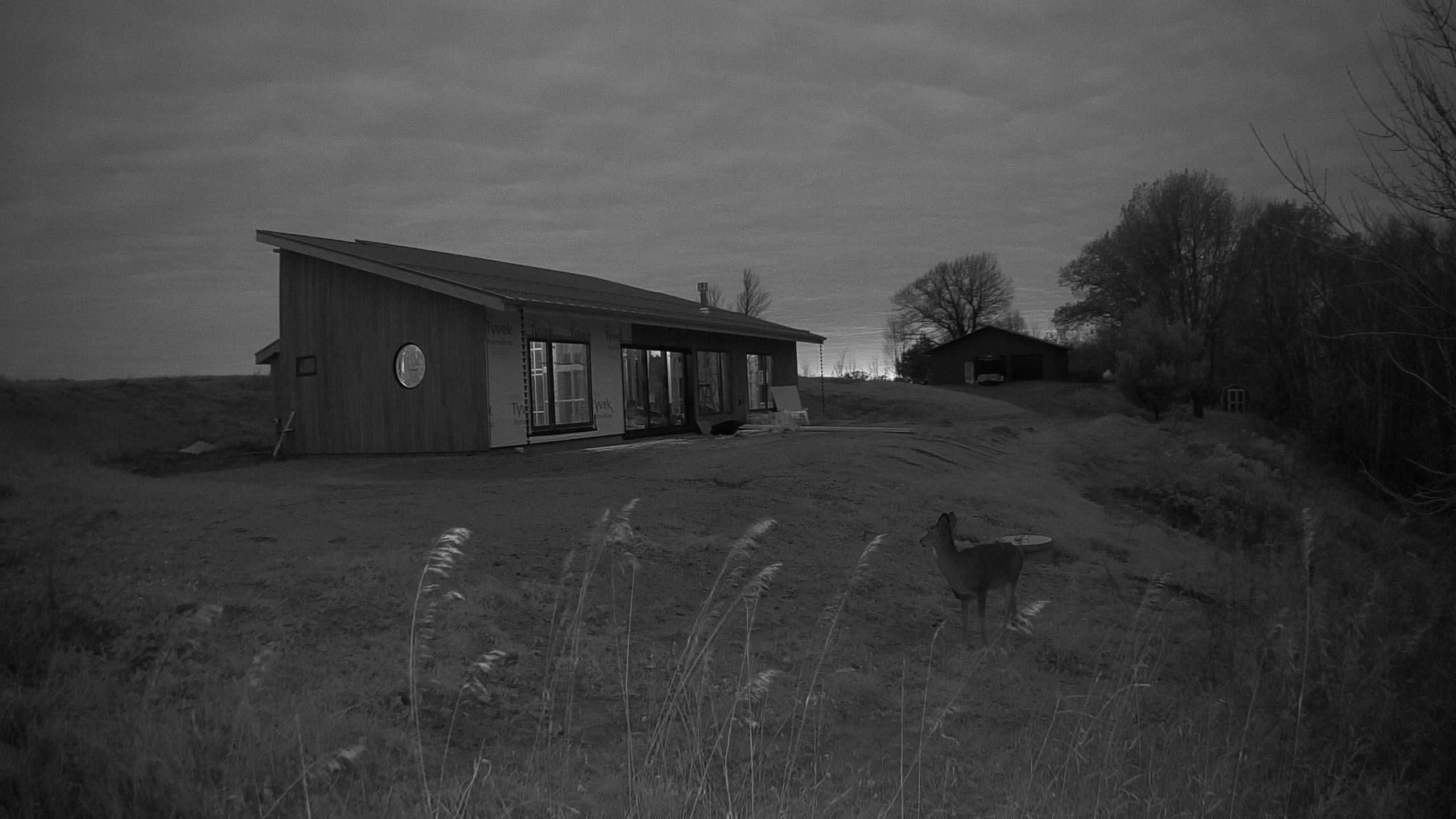 A photo from the field camera