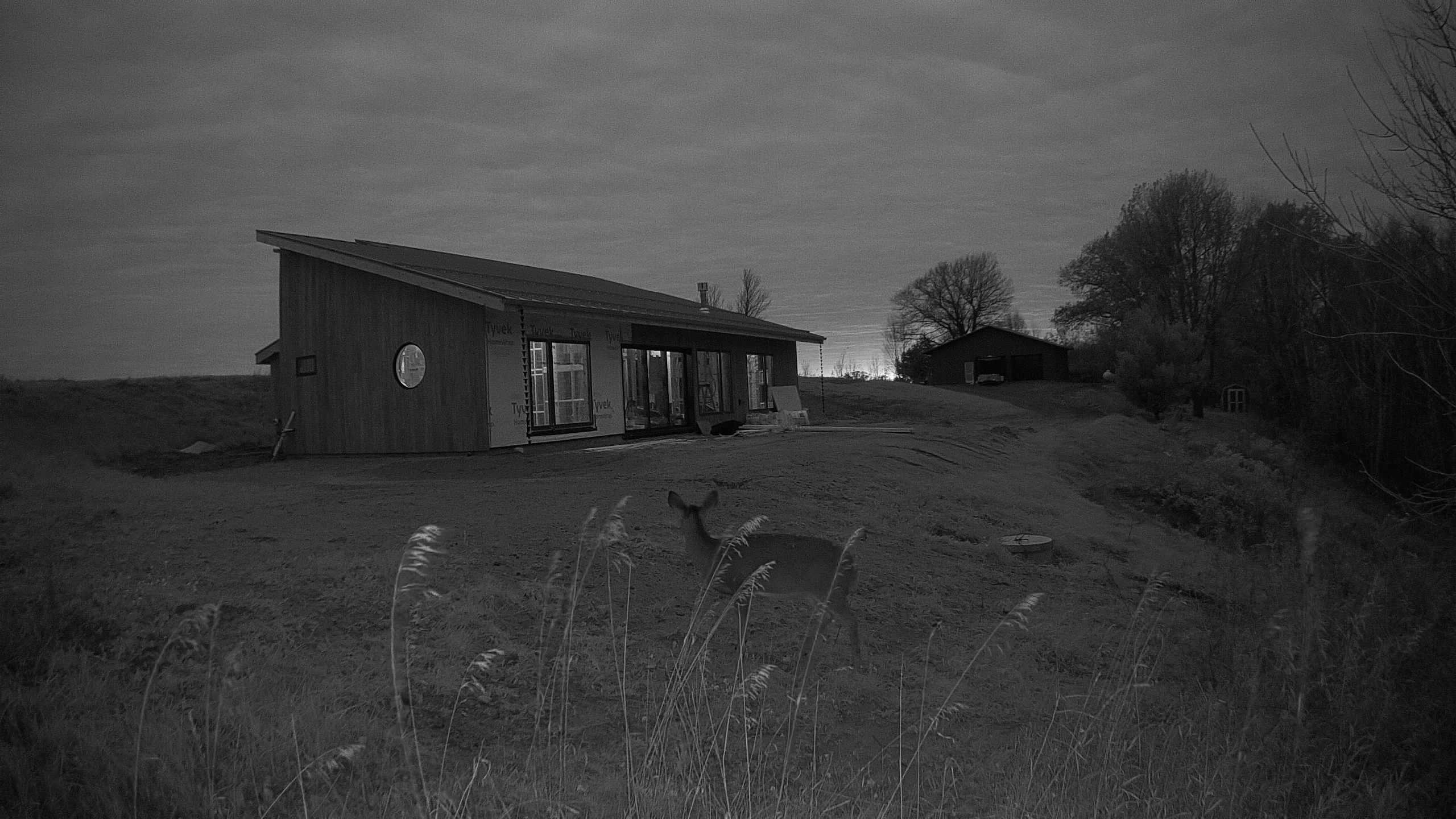 A photo from the field camera