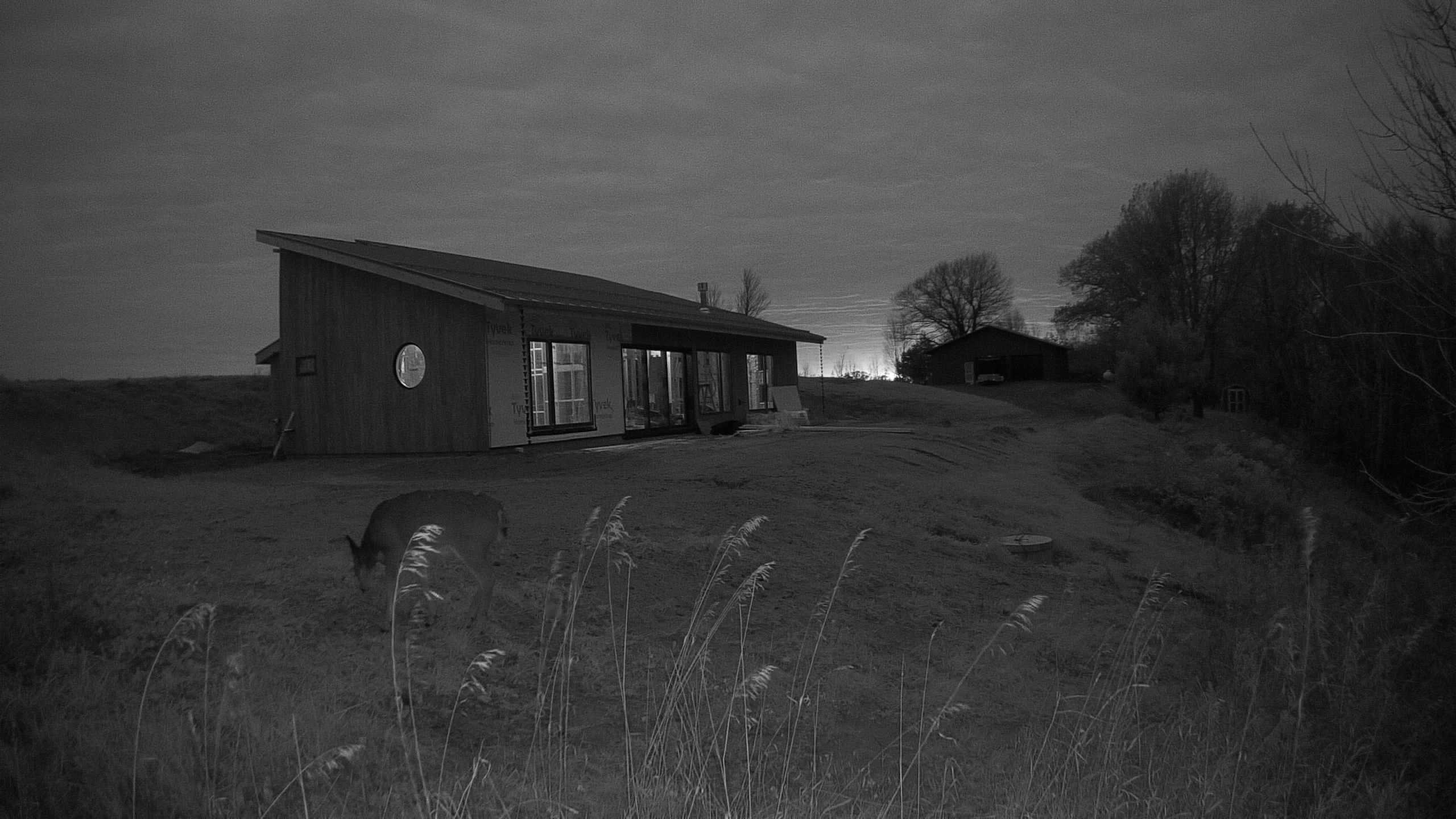 A photo from the field camera