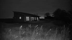 A newer photo from the camera