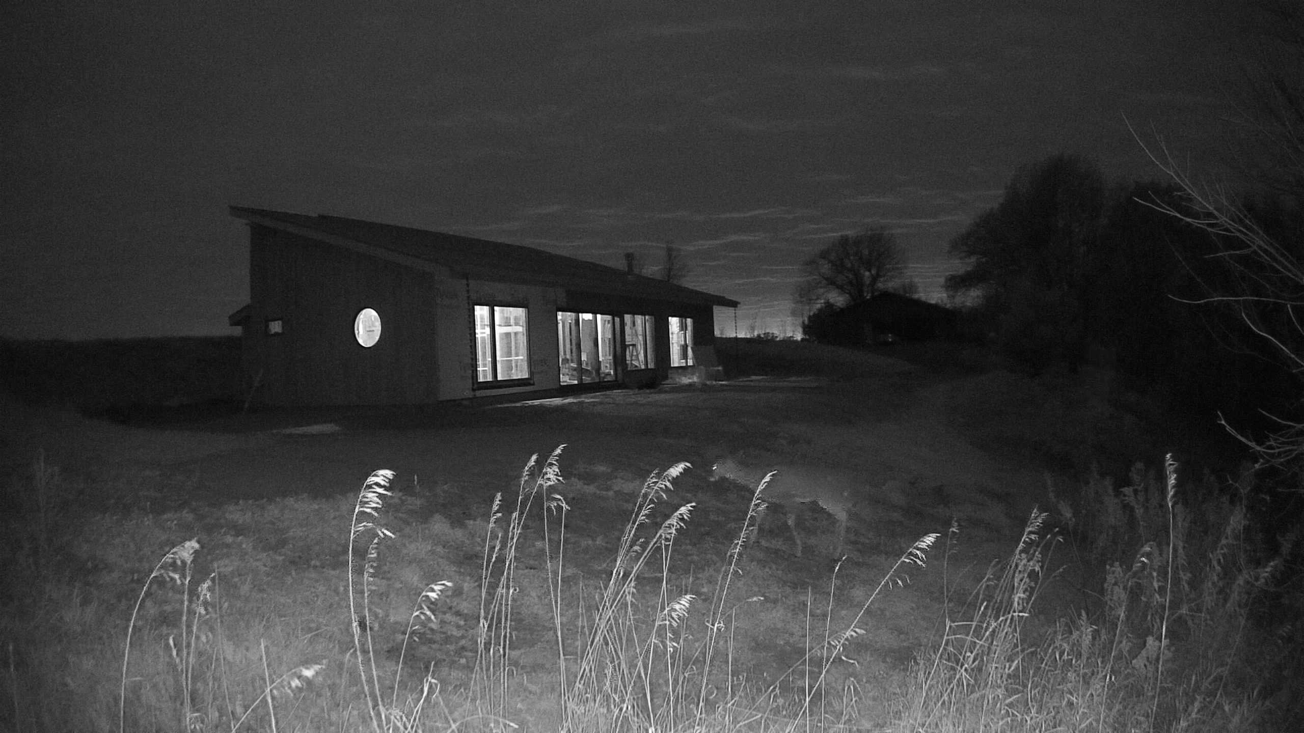 A photo from the field camera