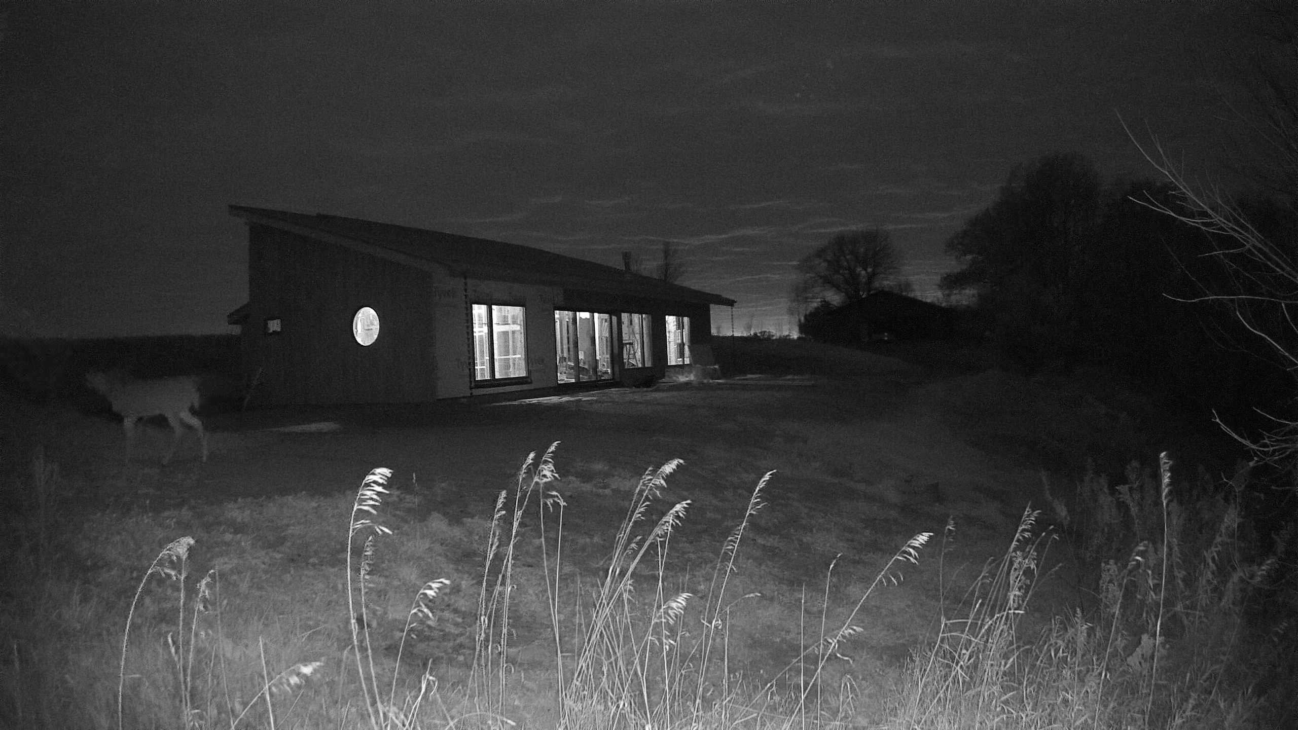 A photo from the field camera