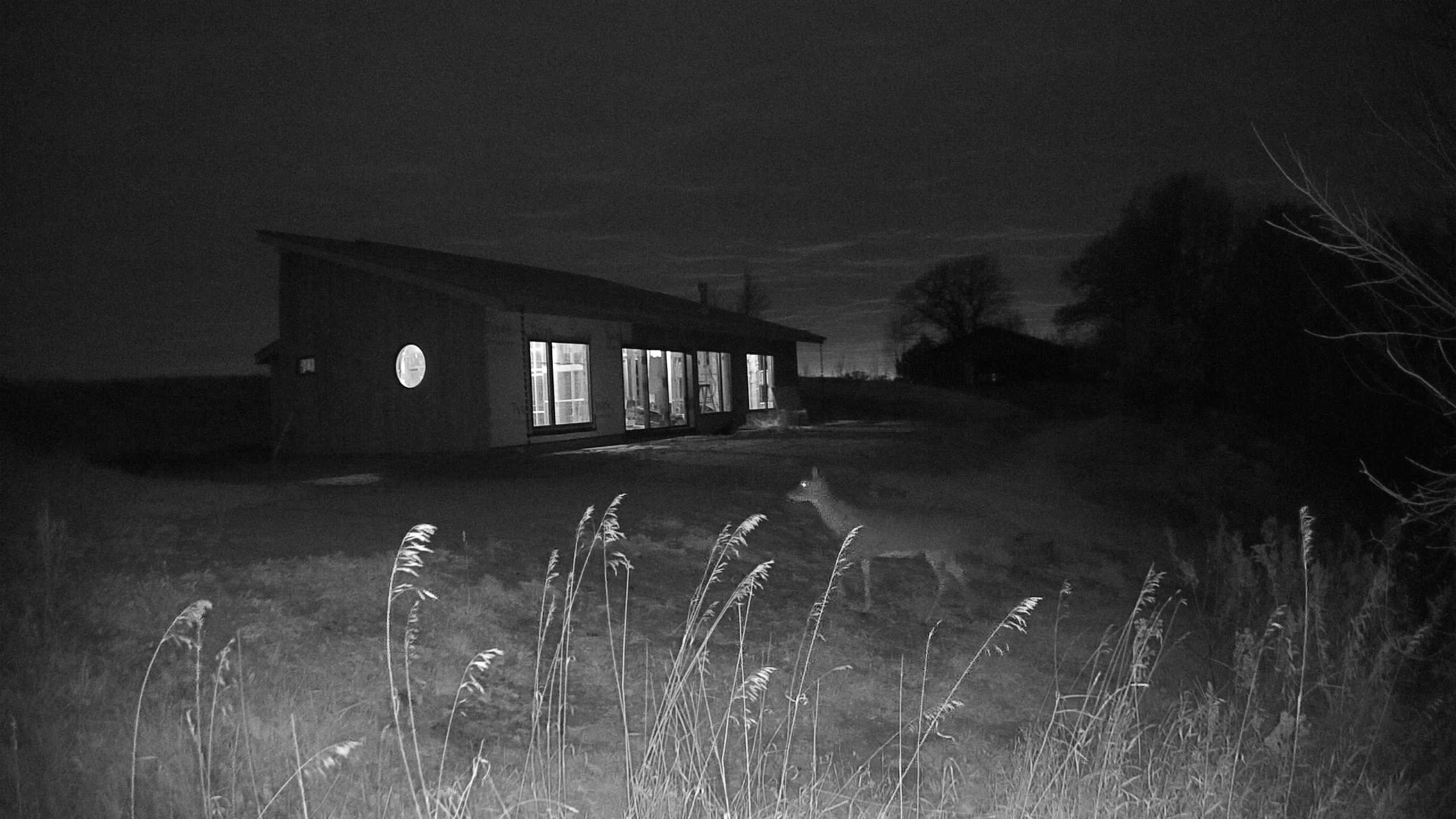 A photo from the field camera