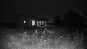 A newer photo from the camera