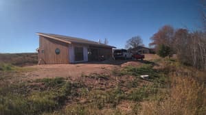 A newer photo from the camera