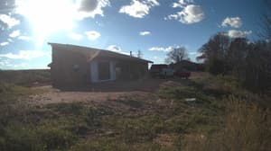 A newer photo from the camera