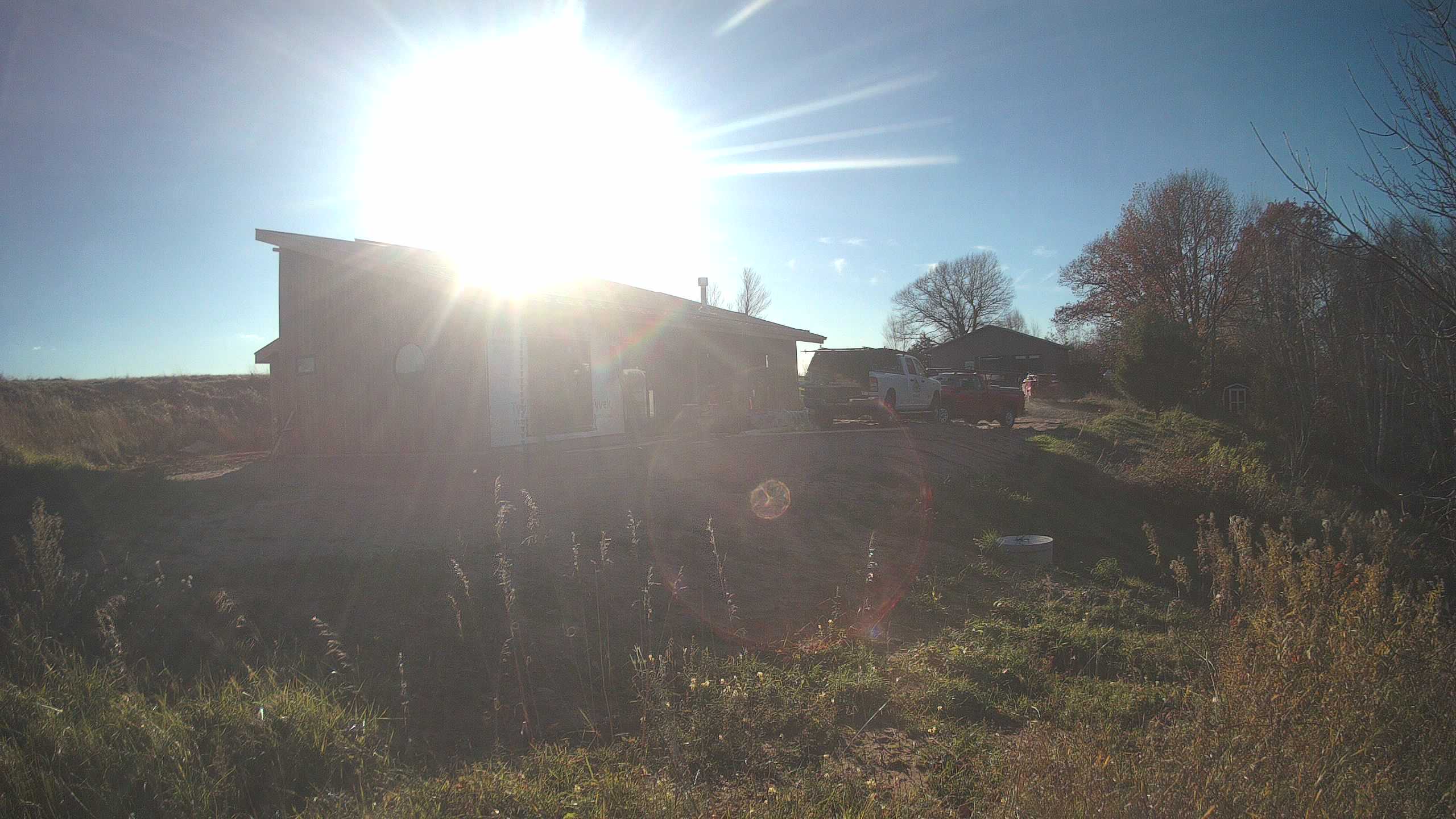 A photo from the field camera