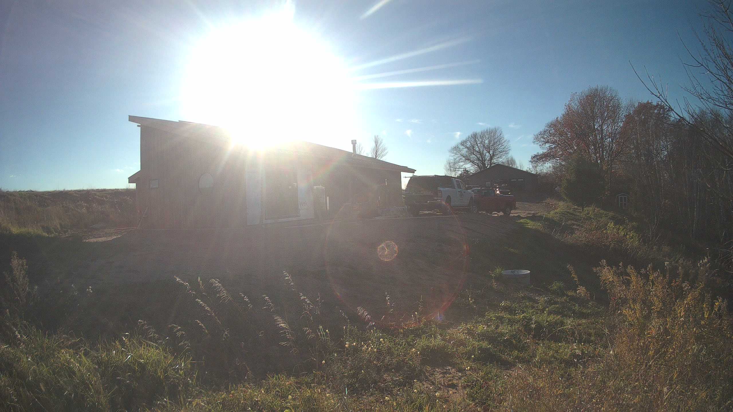 A photo from the field camera