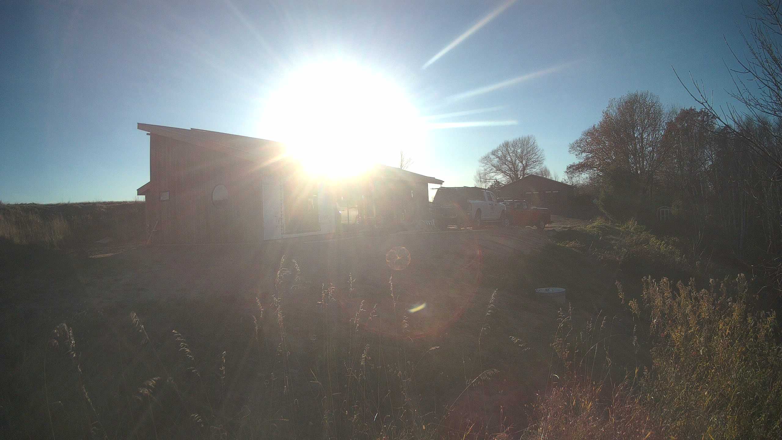 A photo from the field camera