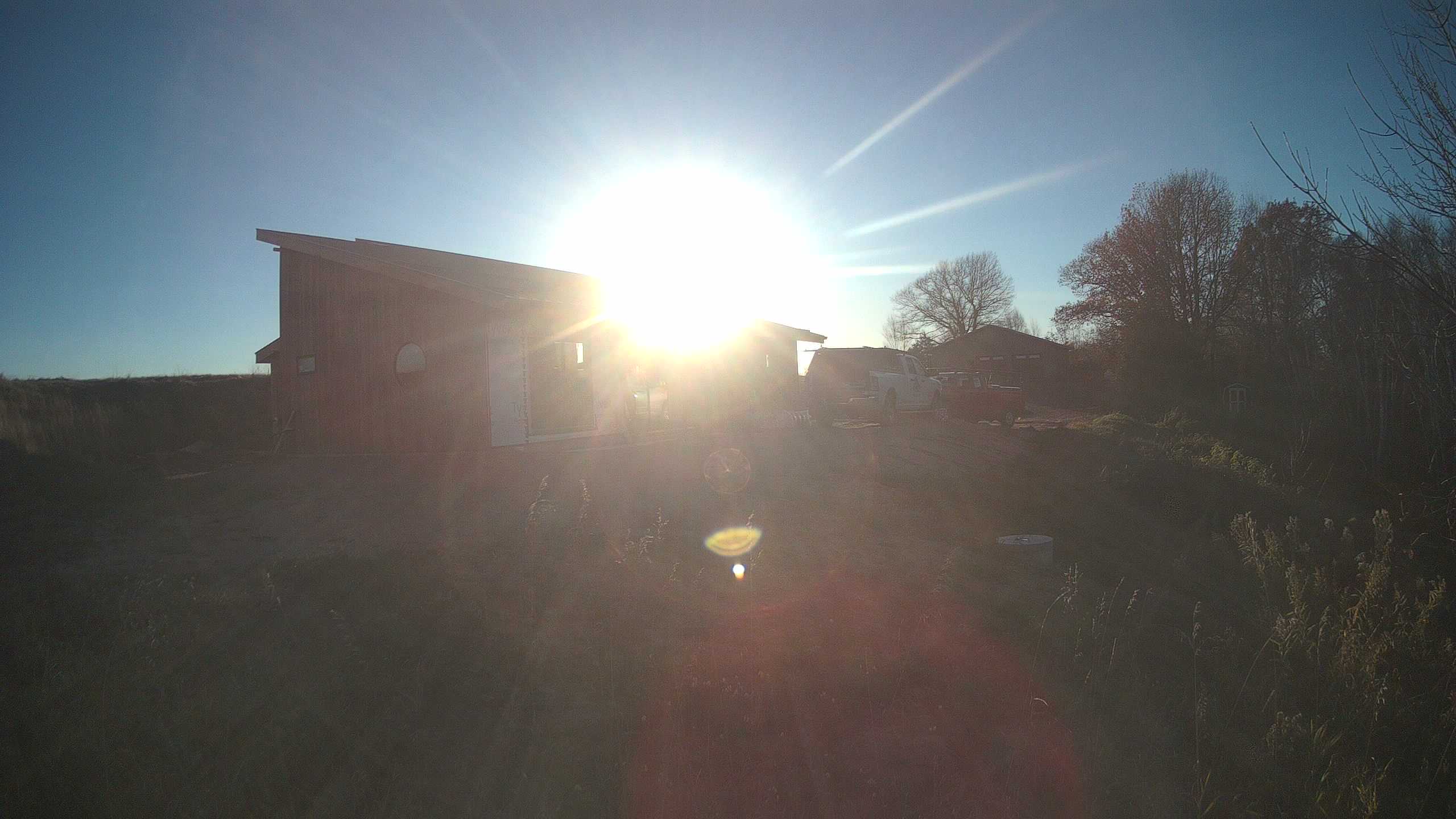 A photo from the field camera