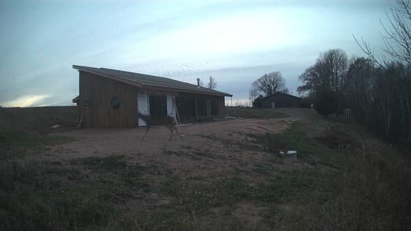 The field cam, Nov 10, 2025 at 3:07pm