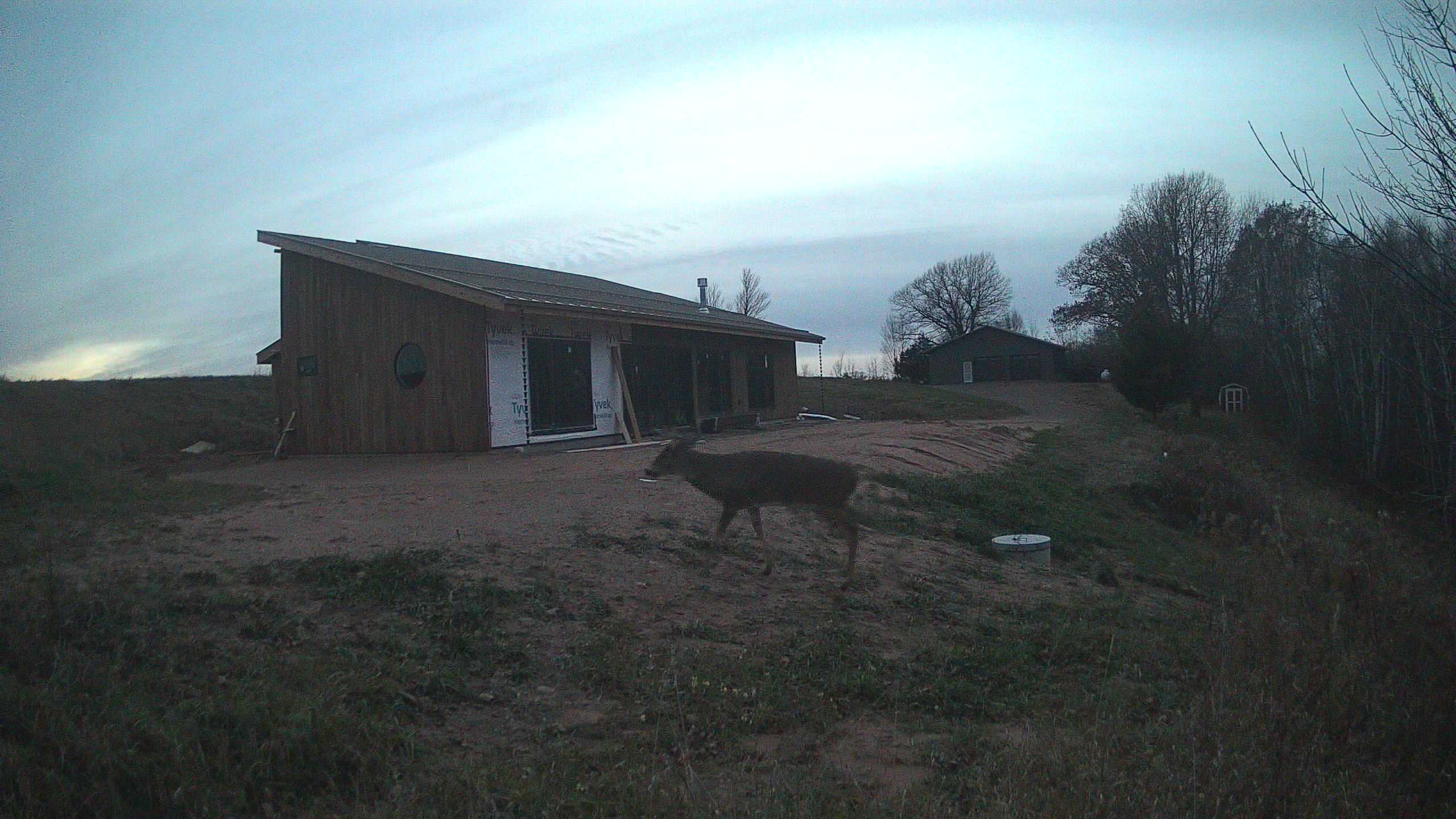 A photo from the field camera