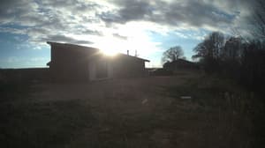 A newer photo from the camera