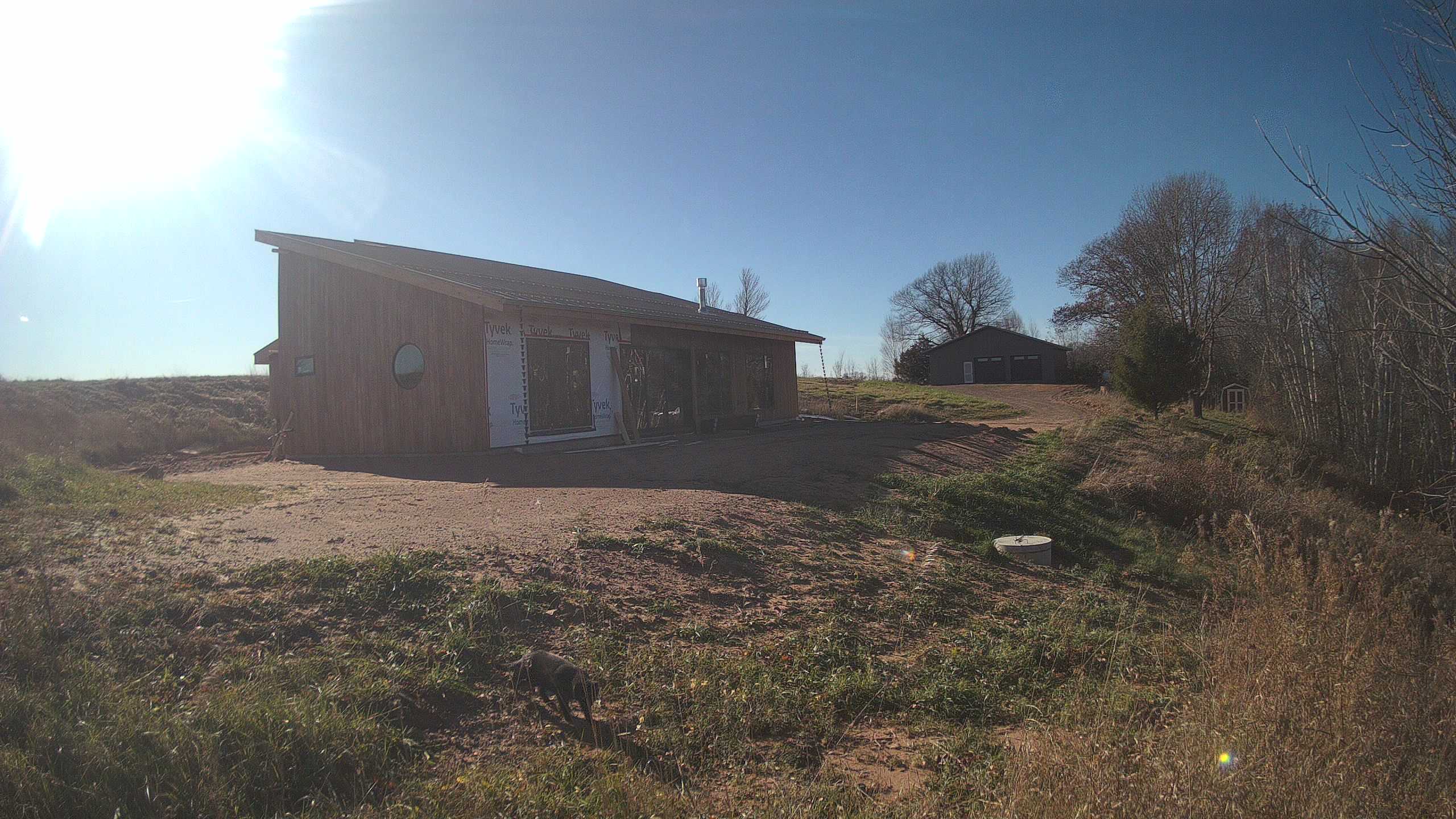 A photo from the field camera