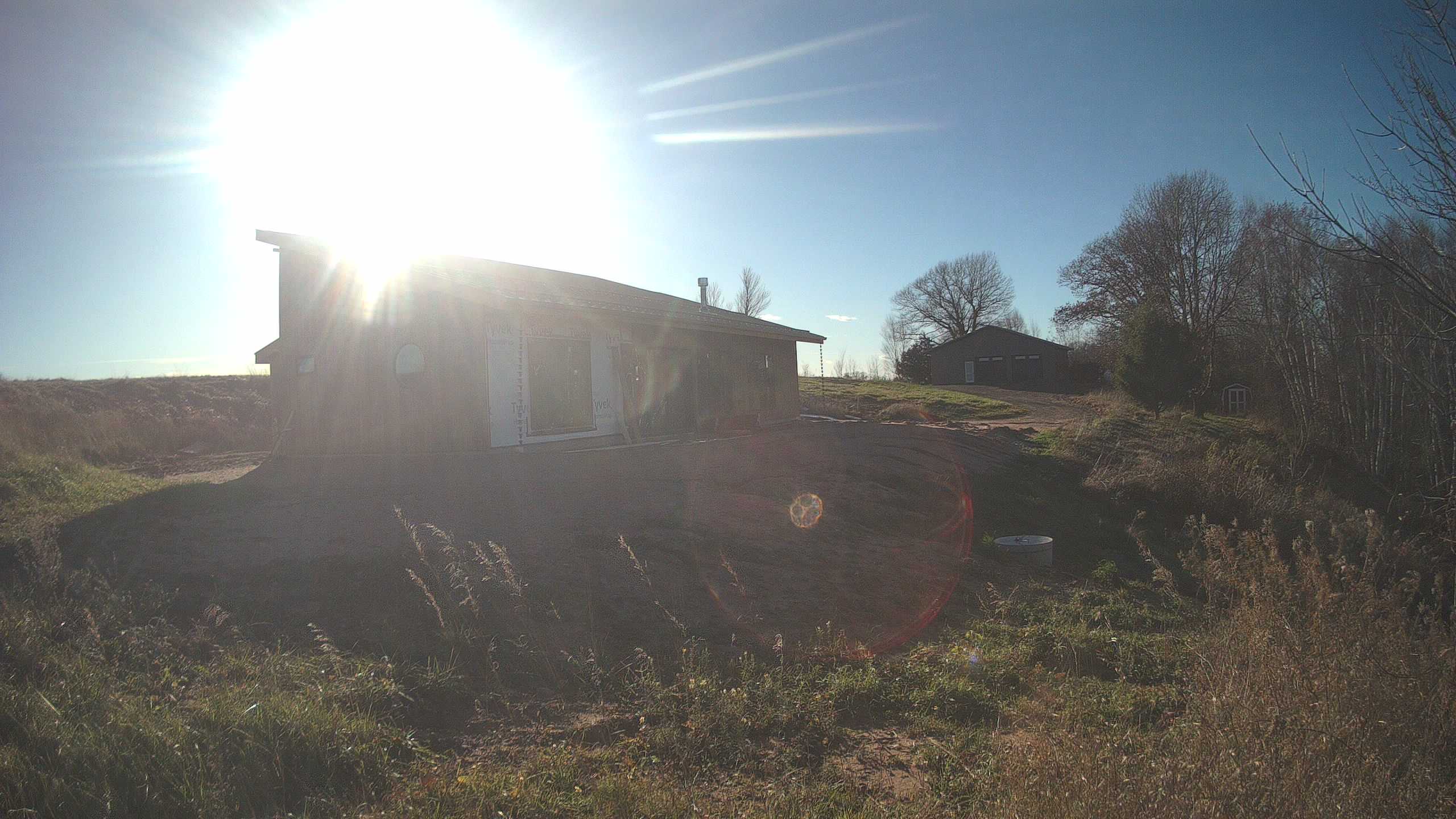 A photo from the field camera