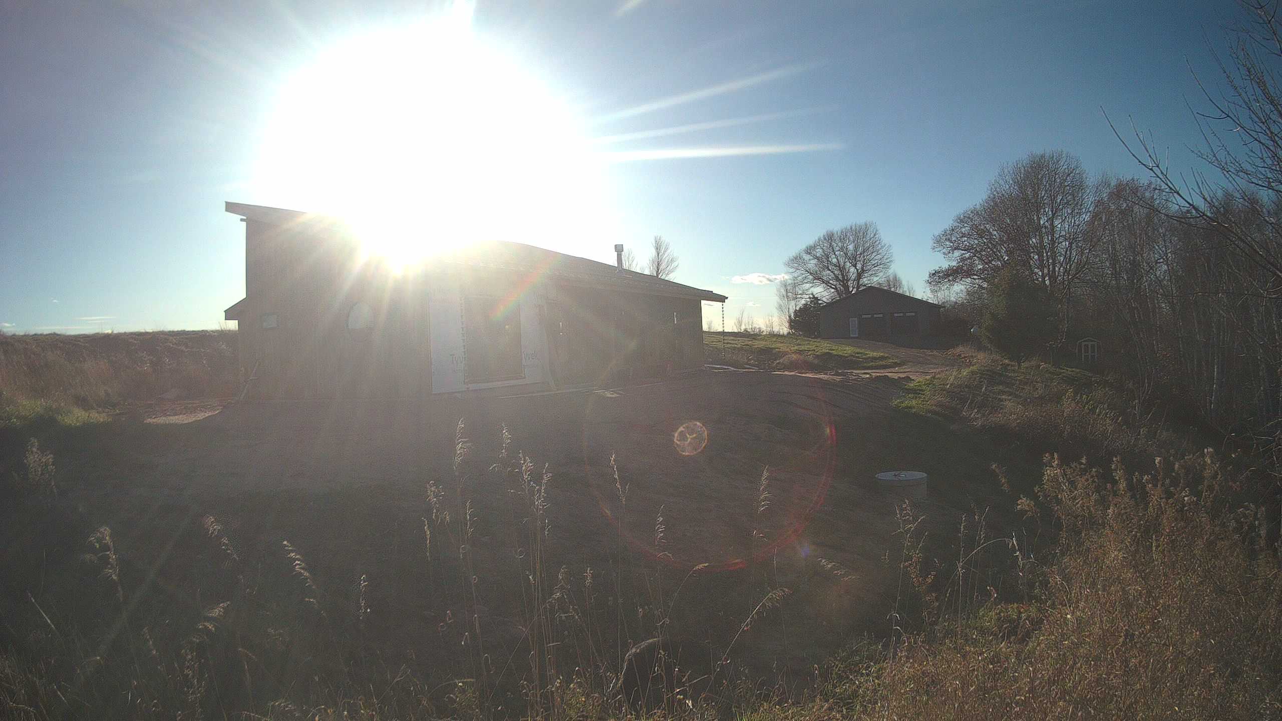 The field cam, Nov 12, 2025 at 12:58pm