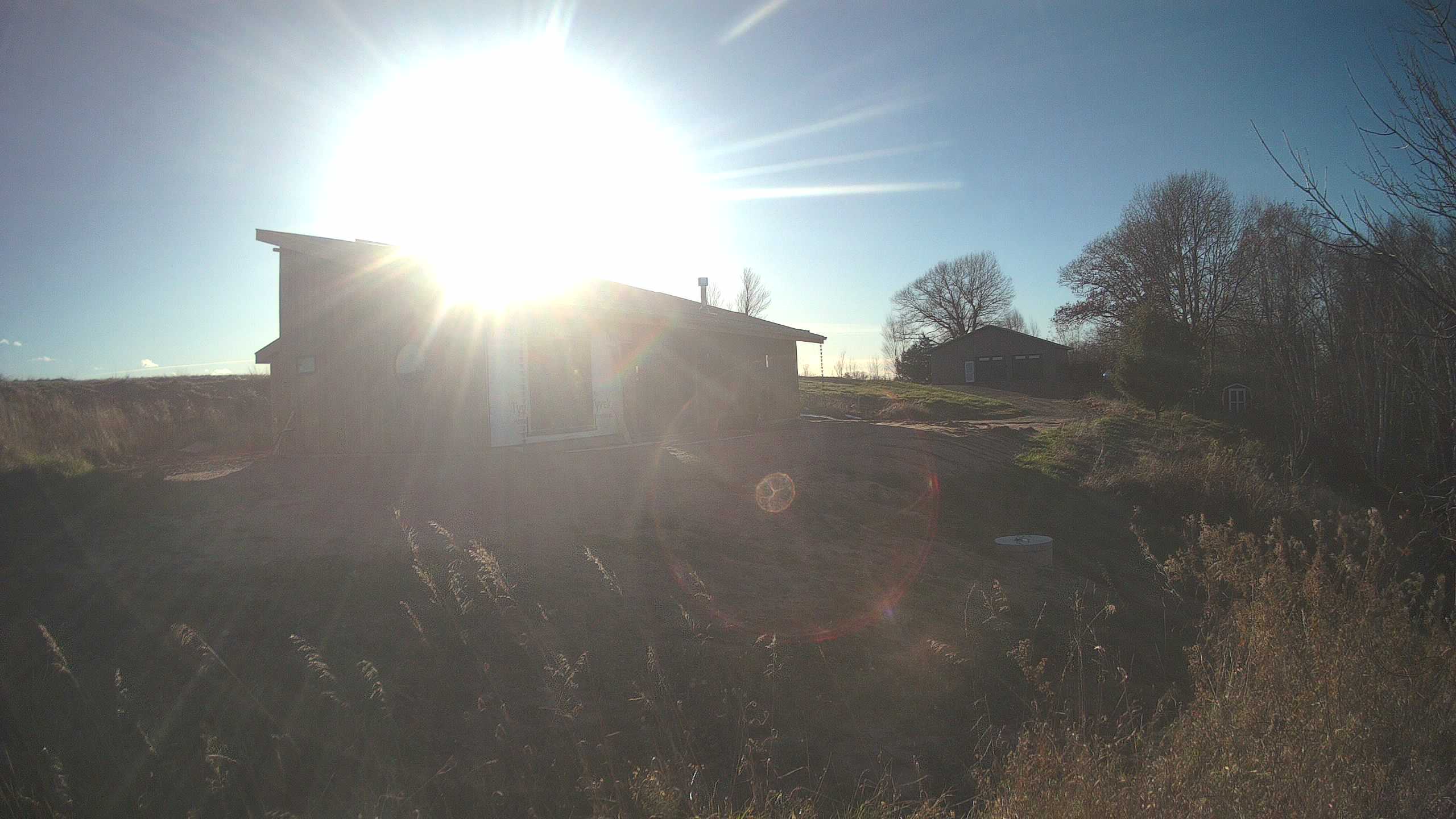 A photo from the field camera