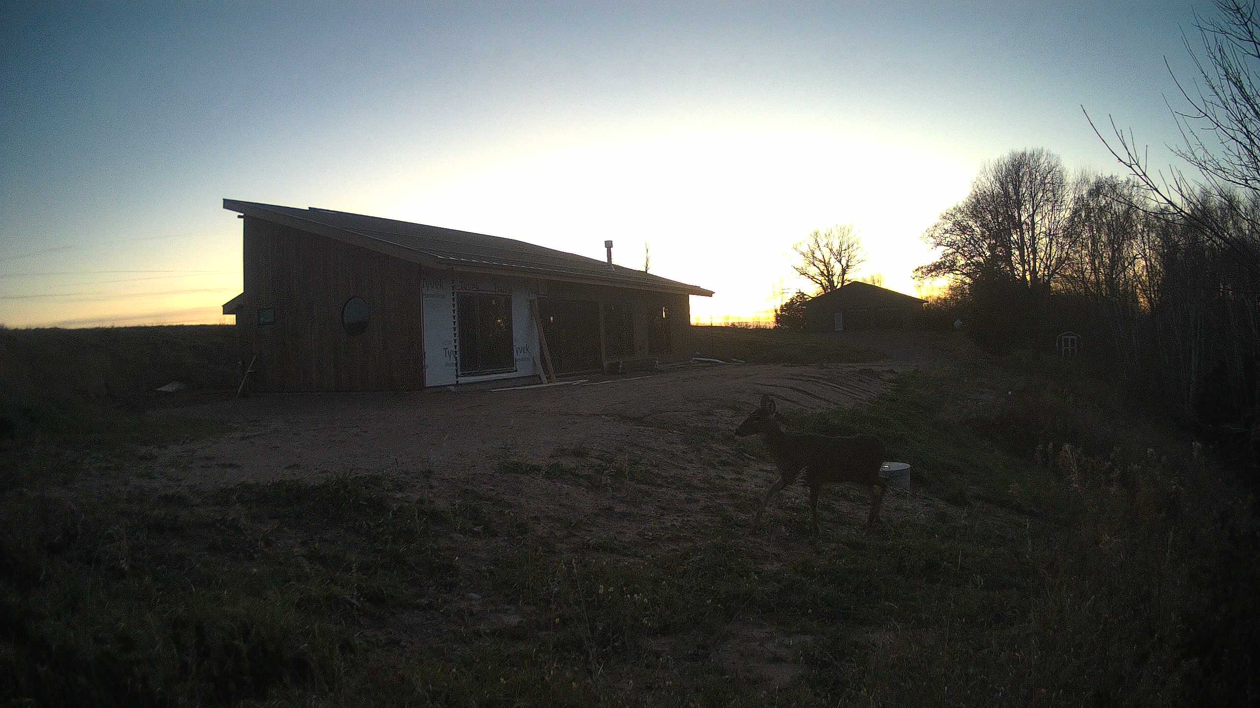 A photo from the field camera
