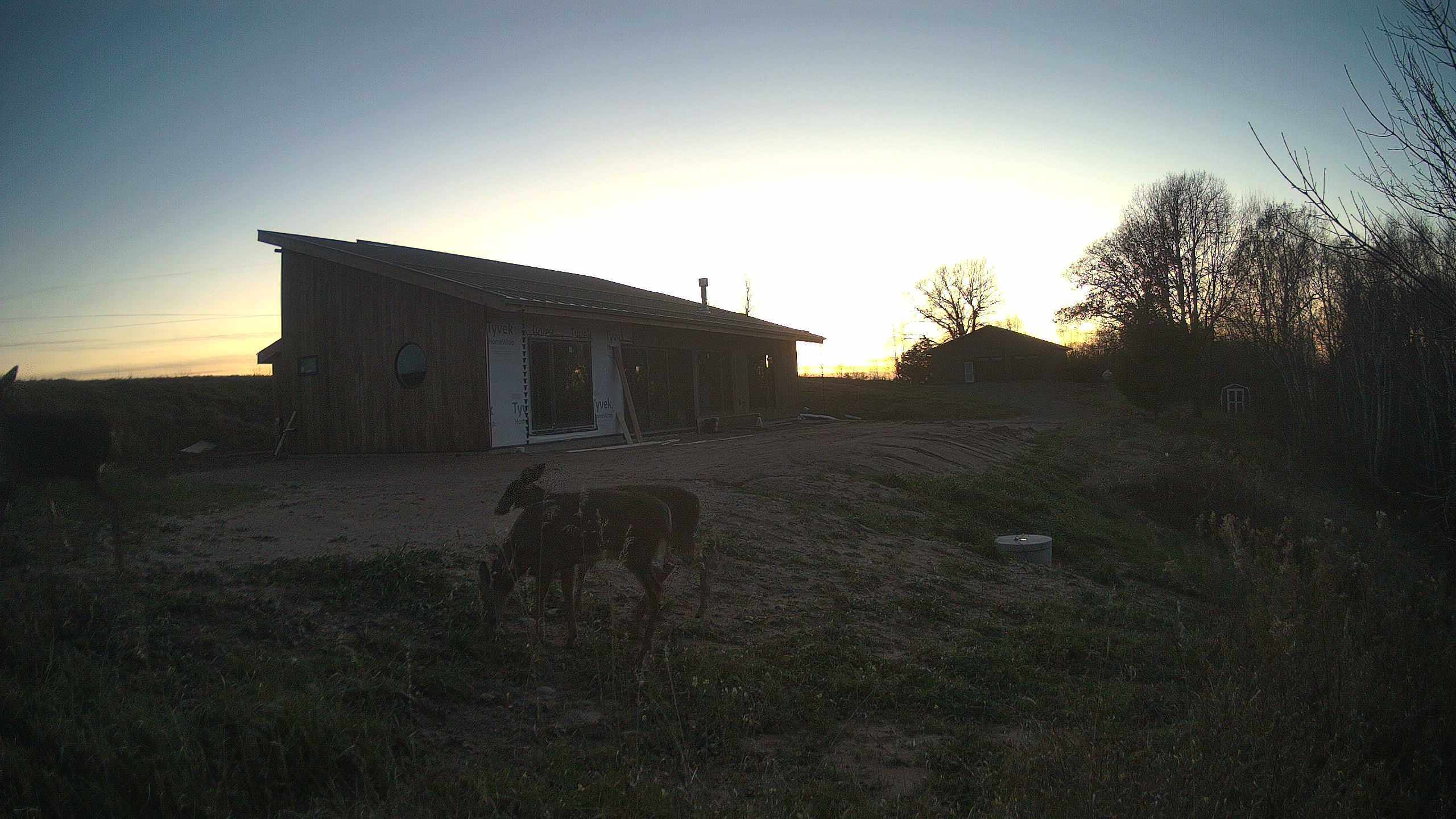 A photo from the field camera