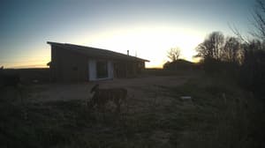 An older photo from the camera