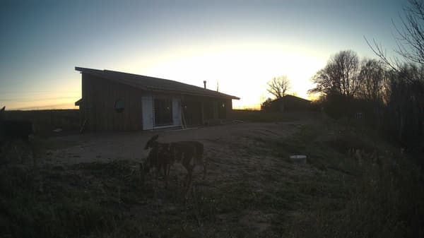 The field cam, Nov 12, 2025 at 3:01pm