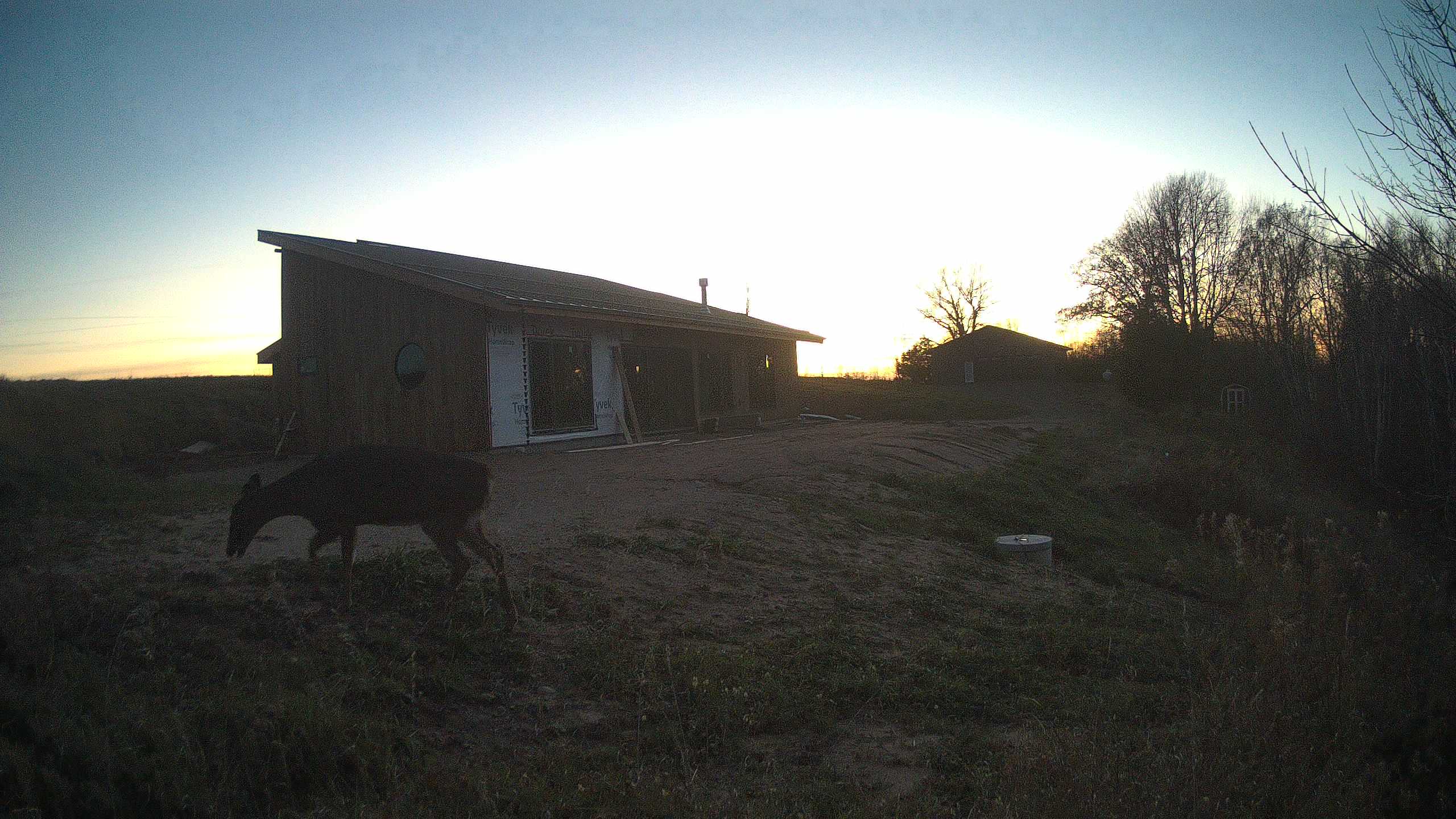 A photo from the field camera