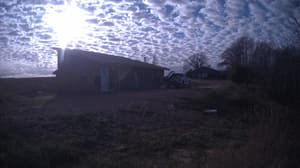 An older photo from the camera