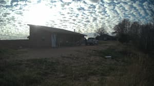 An older photo from the camera