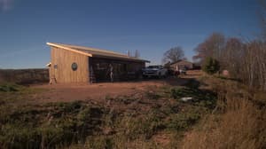 A newer photo from the camera