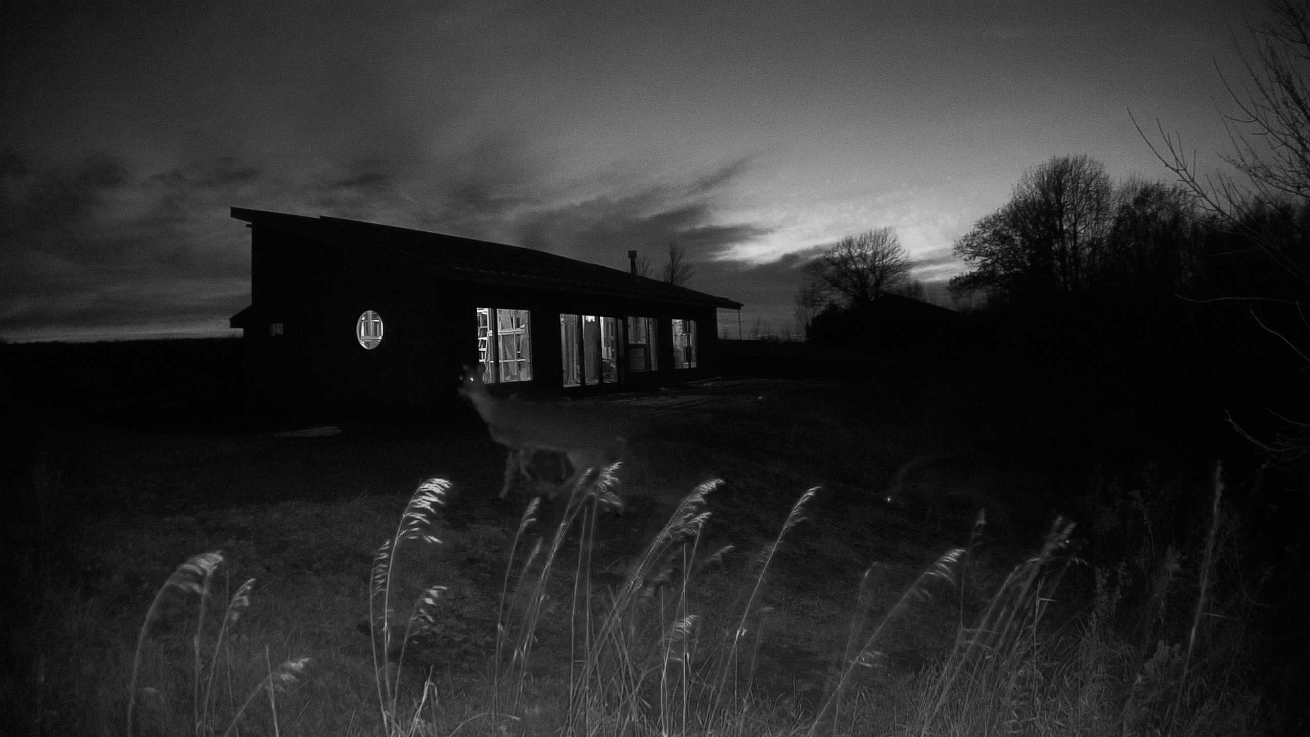 A photo from the field camera