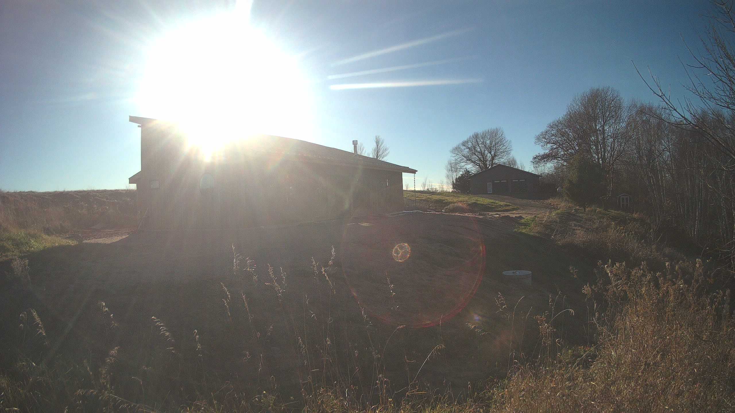 A photo from the field camera