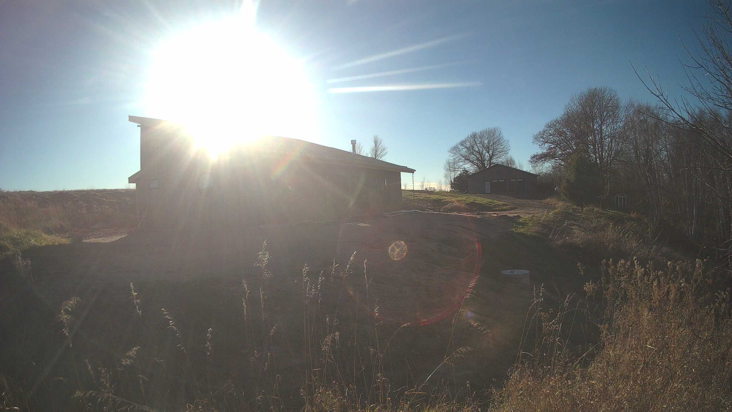 A photo from the field camera