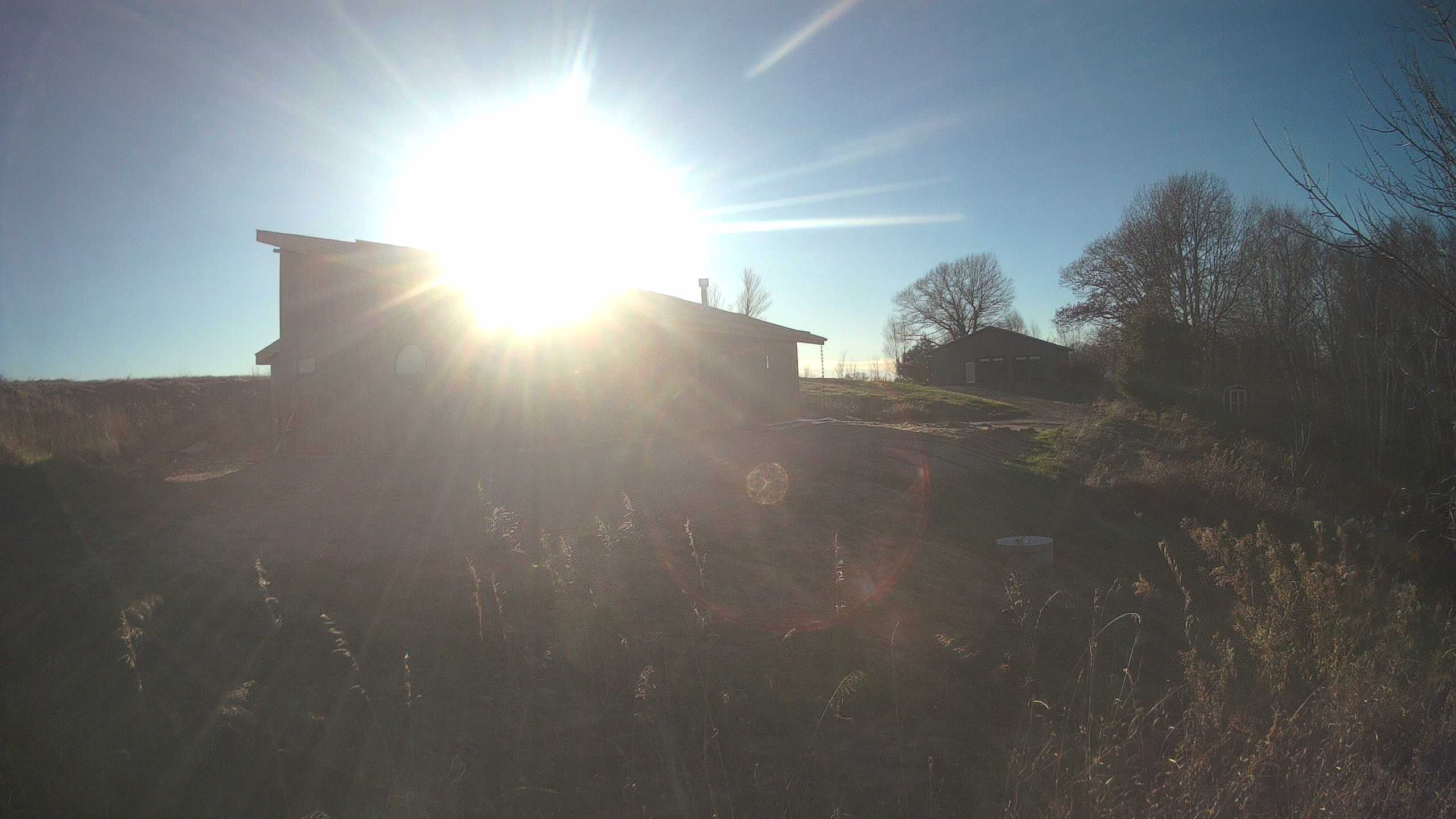 A photo from the field camera