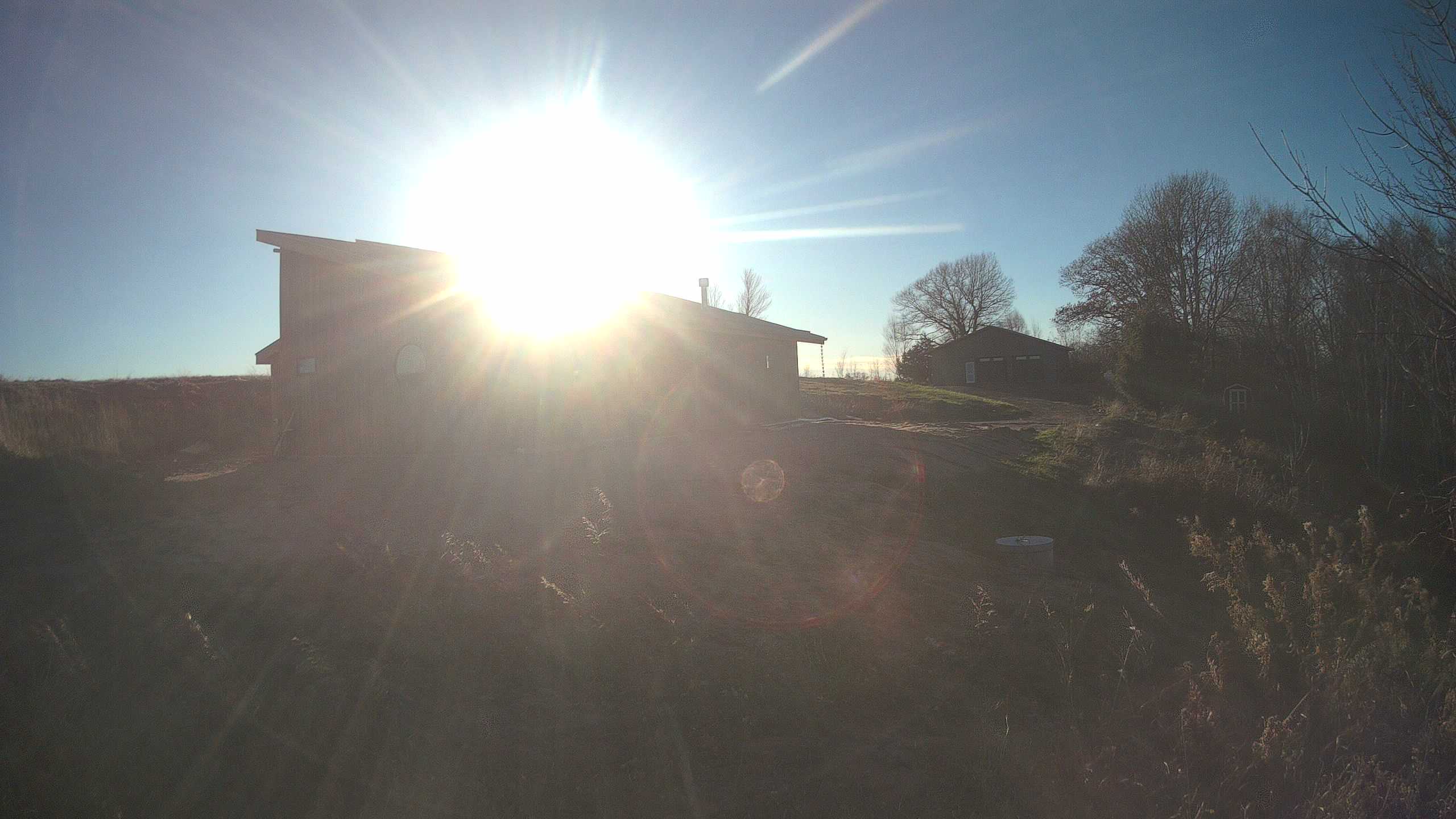 A photo from the field camera