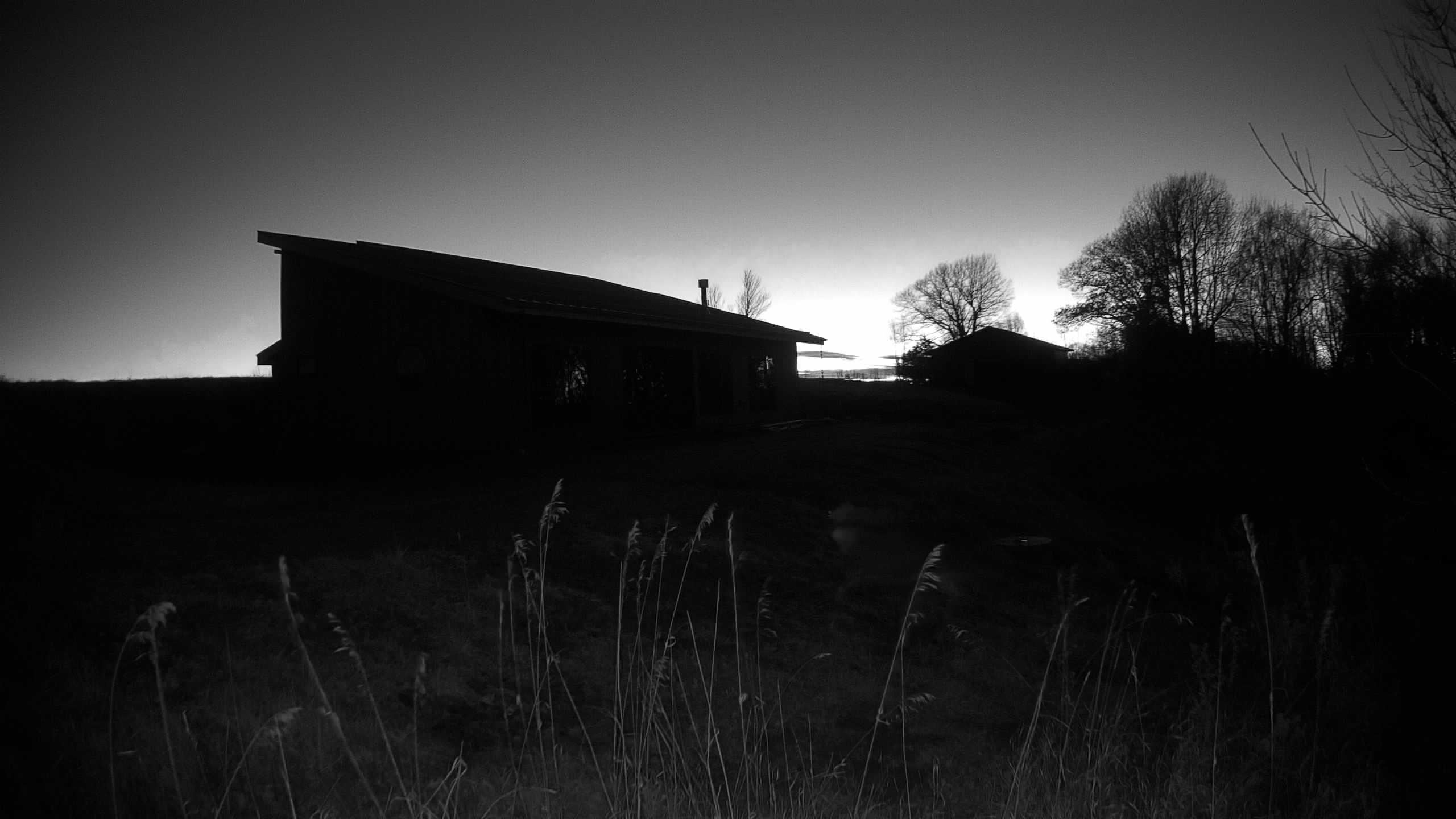 A photo from the field camera