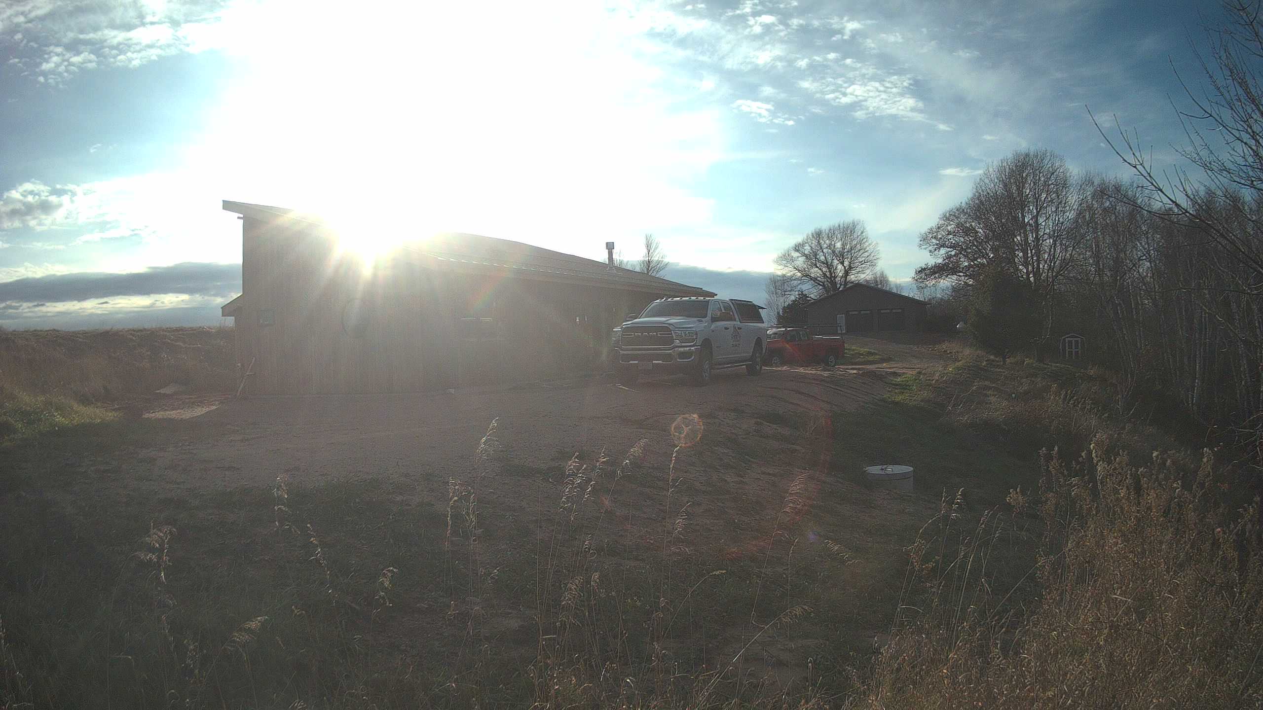 A photo from the field camera