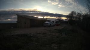 An older photo from the camera