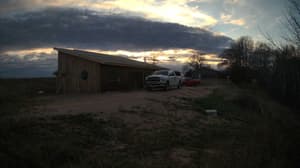 An older photo from the camera