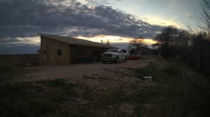 Currently viewing photo