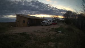 A newer photo from the camera