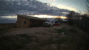 A newer photo from the camera