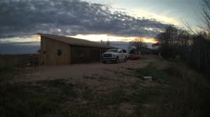 A newer photo from the camera