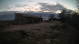 A newer photo from the camera